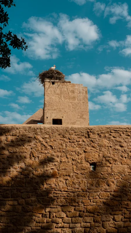 Chellah, Rabat — Hosniart